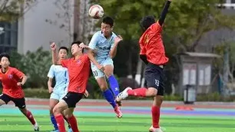 百年大党辉煌历程获国际嘉宾盛赞
