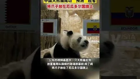 意甲21新星身价榜最新揭晓：伊尔迪兹、尼科-帕斯、卡斯特罗三甲领跑